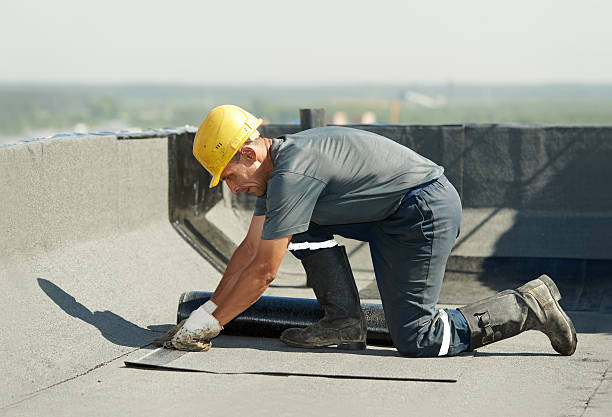Best Insulation Maintenance and Repair in Farr West, UT